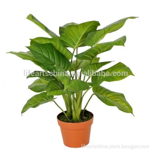 artificial plant, 50cm pothos, bonsai tree